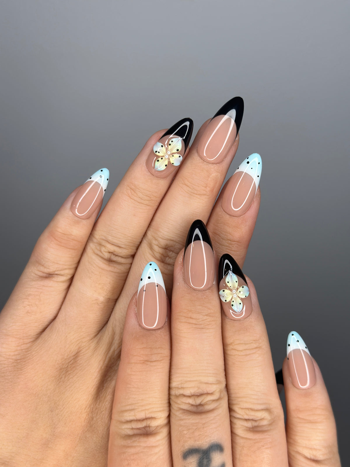 Bluebell Dots